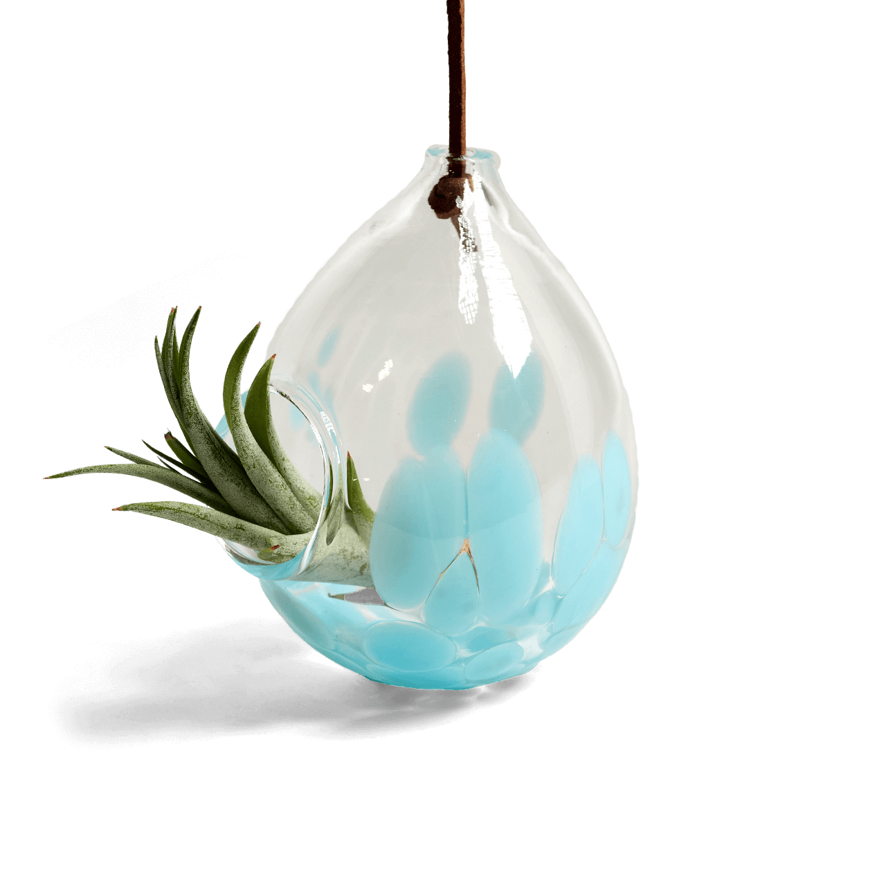 cheap air plant holders Handblown Glass Air Plant Holder