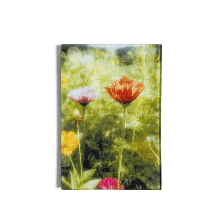 John Derian x BMTN Wildflower Mini Tray
