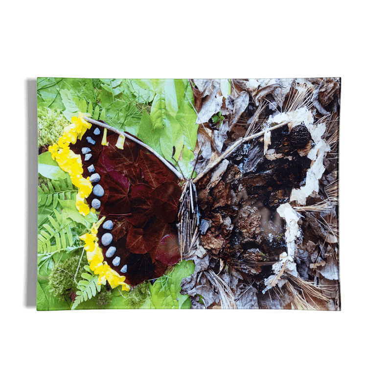 John Derian x BMTN Butterfly Tray