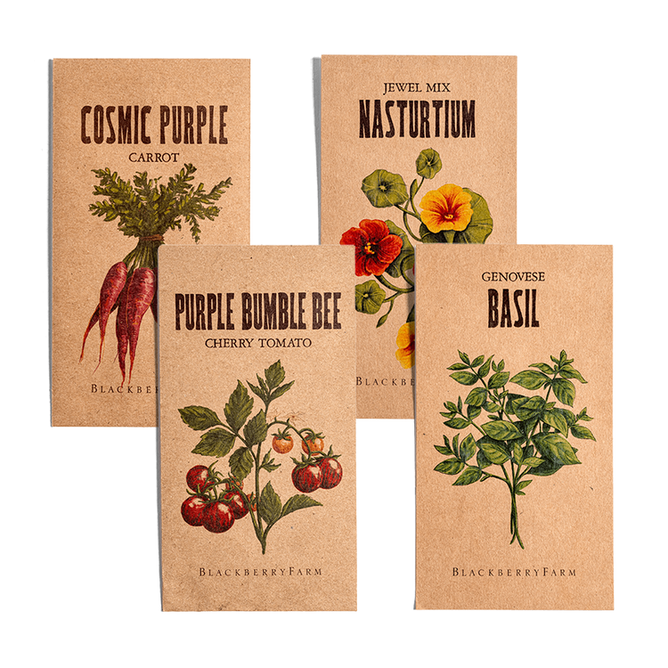 Container Gardening Seed Collection