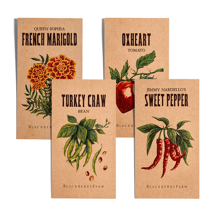 Summer Favorites Seed Collection