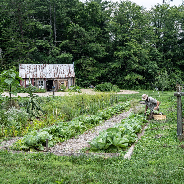 The Garden at Blackberry Farm