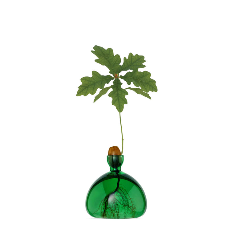 Acorn Vase Emerald