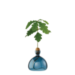 Colored Acorn Vase