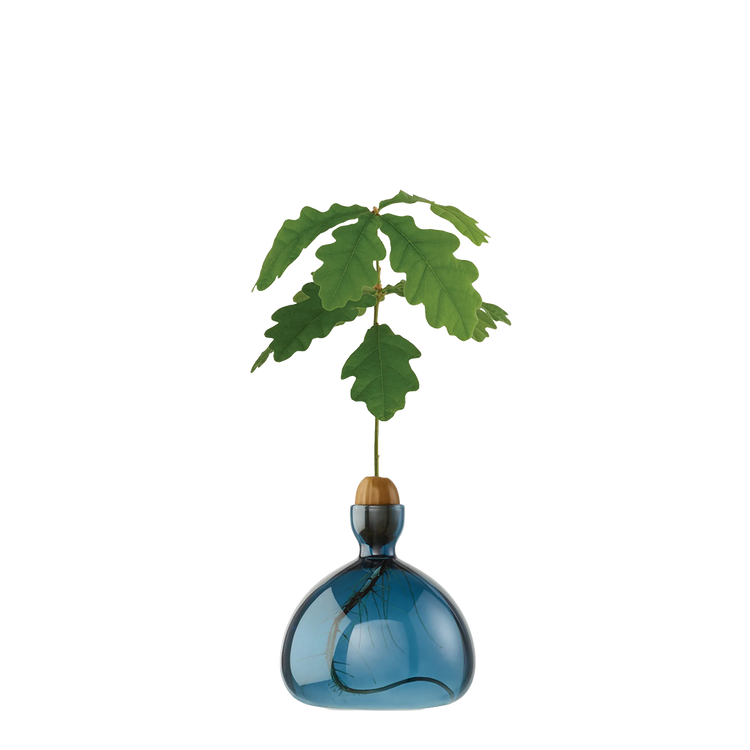 Colored Acorn Vase