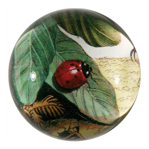 John Derian Ladybug on Leaf Paperweight