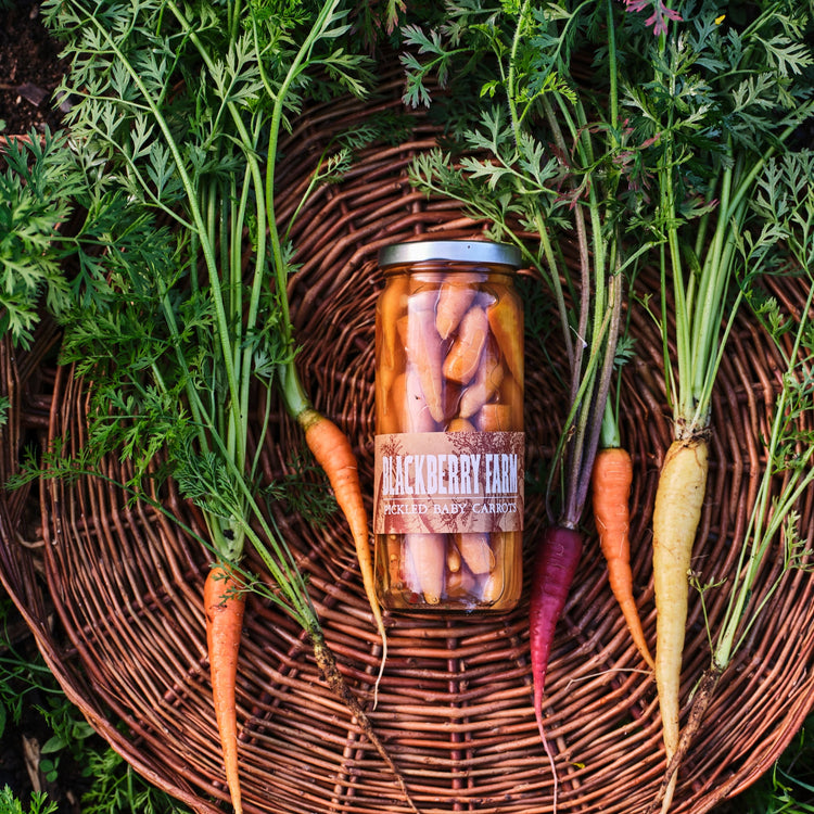 pickled carrots and carrots