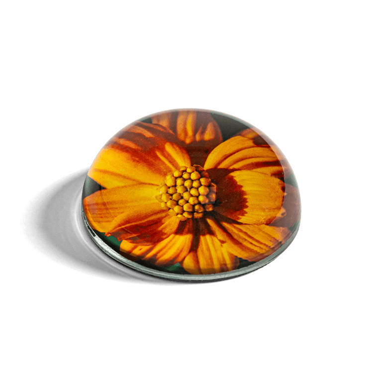 John Derian x BF Custom Floral Paperweight