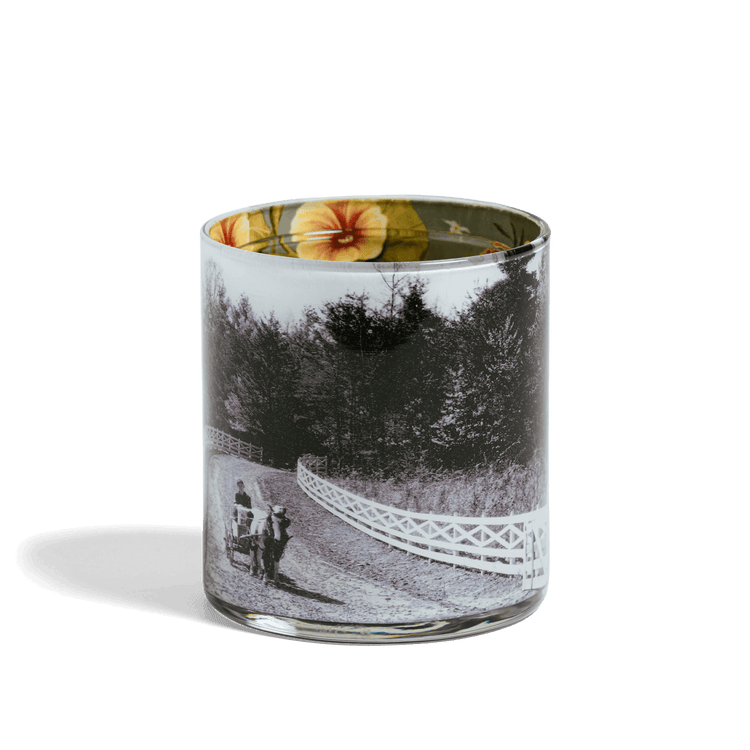 John Derian x BF Anniversary Desk Cup