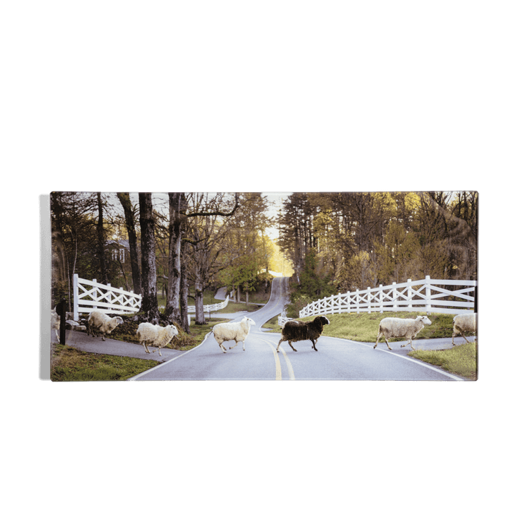 John Derian x BF Sheep Crossing Tray