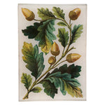 John Derian Acorn Bunch Mini Tray