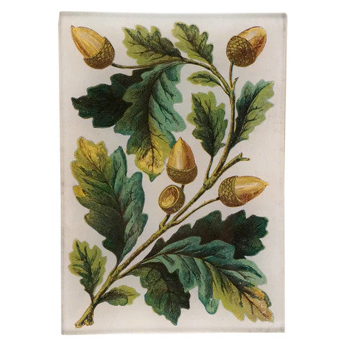 John Derian Acorn Bunch Mini Tray