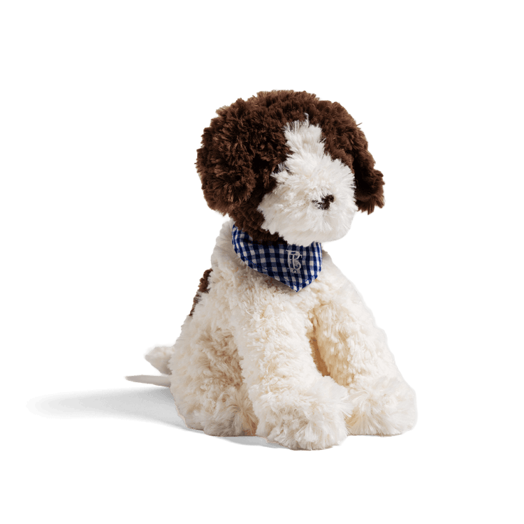 Tom the Truffle Pup