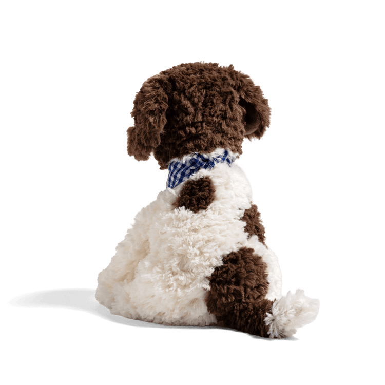Tom the Truffle Pup