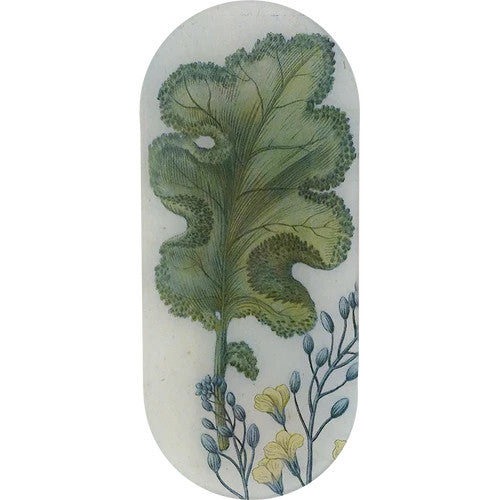 John Derian Brassica Oblong Tray
