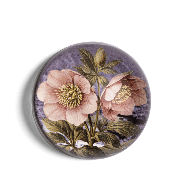 John Derian x BF Floral Paperweight