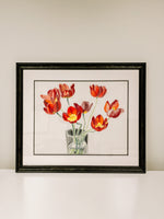 Red Tulips