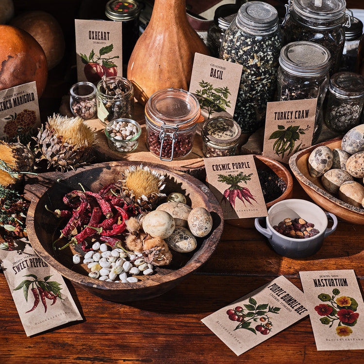 Container Gardening Seed Collection
