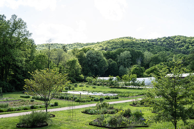 Event Gift Certificate