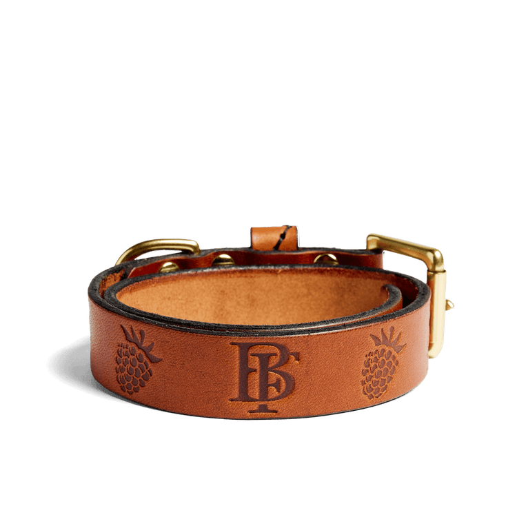 Embossed Leather Dog Collar 2