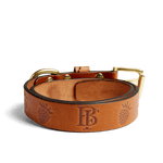 Embossed Leather Dog Collar 1