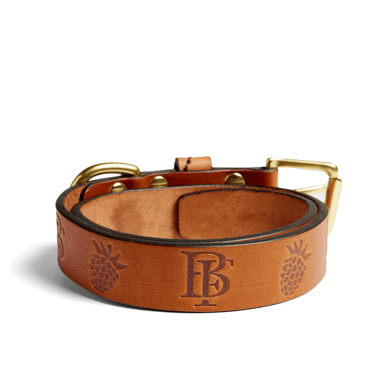 Embossed Leather Dog Collar 1