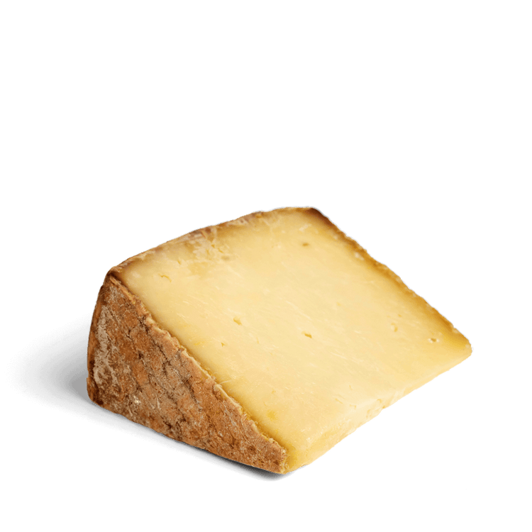 Laurel Tomme 2