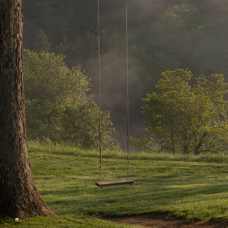 Blackberry Farm Swing  - Image 1