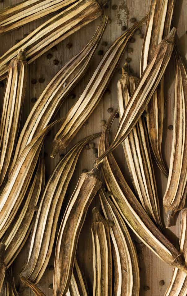 Blackberry Farm Shop