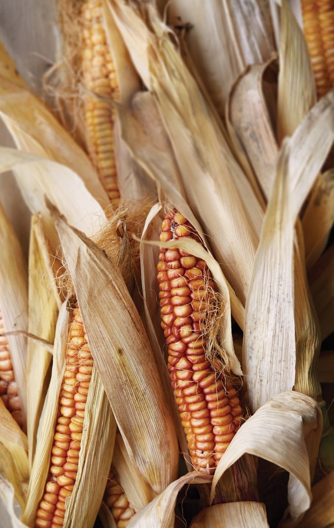 Blackberry Farm Shop