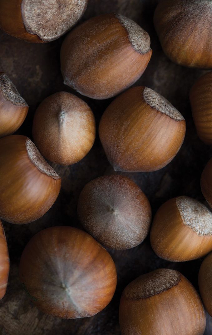 Blackberry Farm Shop