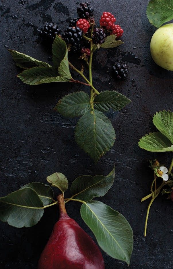 Blackberry Farm Shop