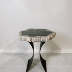 Petrified Wood Table 4