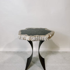 Petrified Wood Table 4