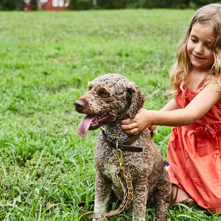 
                                            Megamenu for Lifestyle
                                        