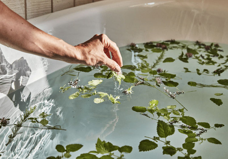 Blackberry Farm Shop