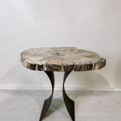 Petrified Wood Table 1