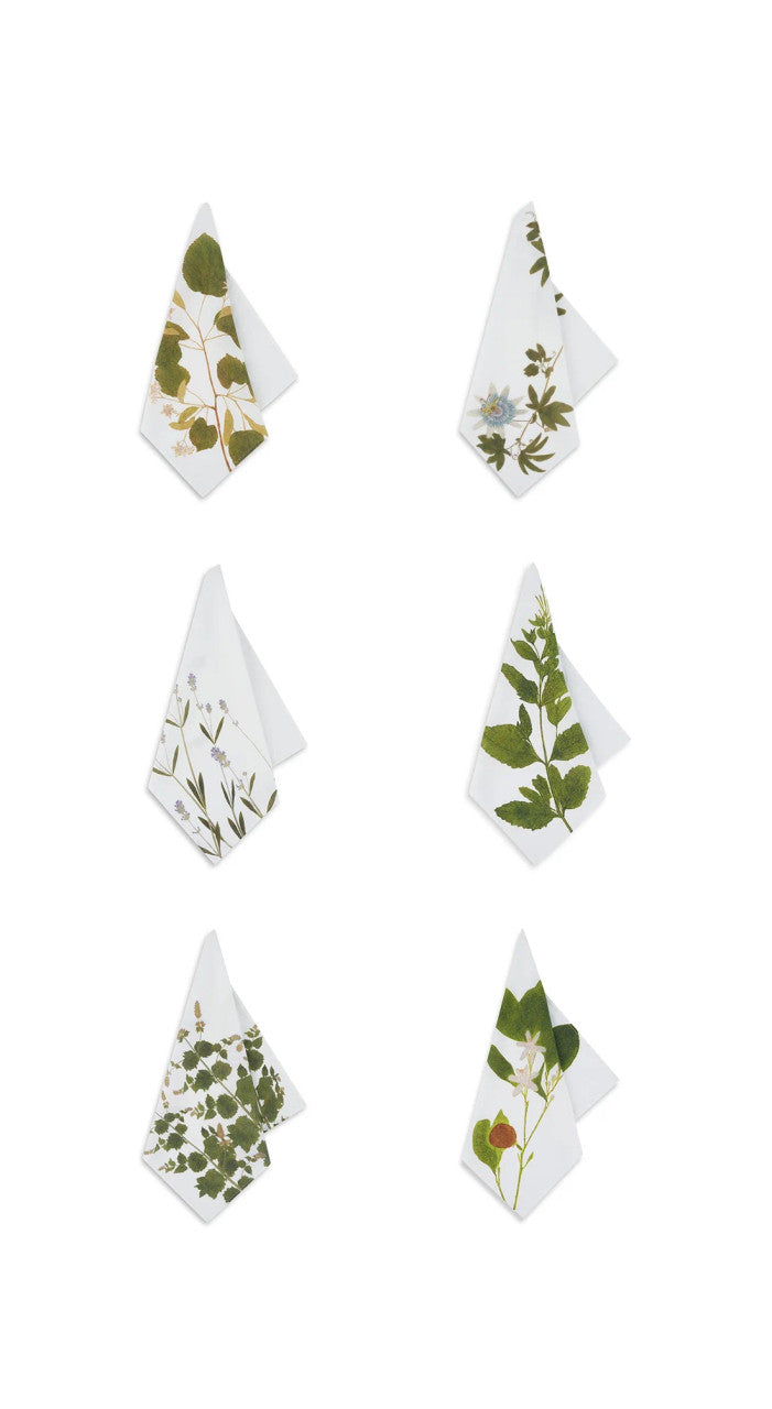 Herb Garden Napkin Set of 6