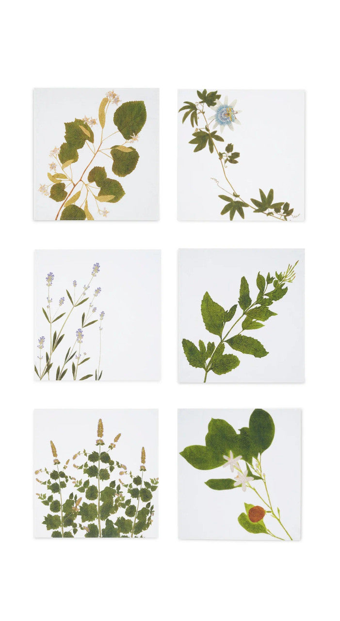 Herb Garden Napkin Set of 6