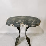 Petrified Wood Table 3