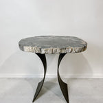 Petrified Wood Table 2