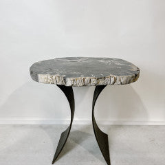 Petrified Wood Table 2